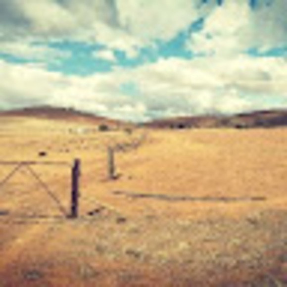 Meet your Posher, Louise anne - Picture 1 of 1